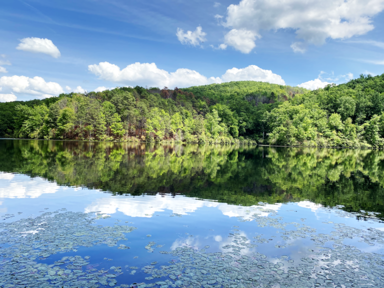 Lake Keokee Loop Trail – SWVA Trekkers